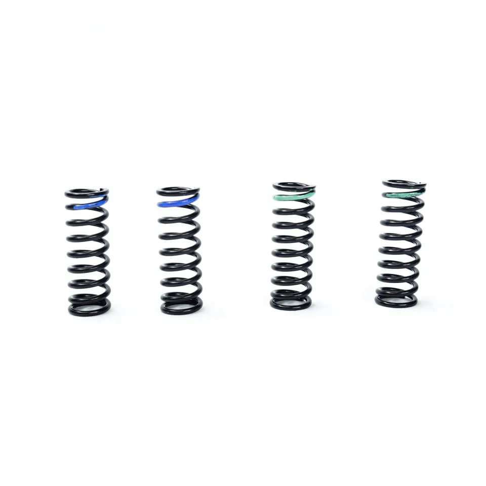 3Racing Sakura FGX-346 kit ressorts T9 T10 FGX EVO F1