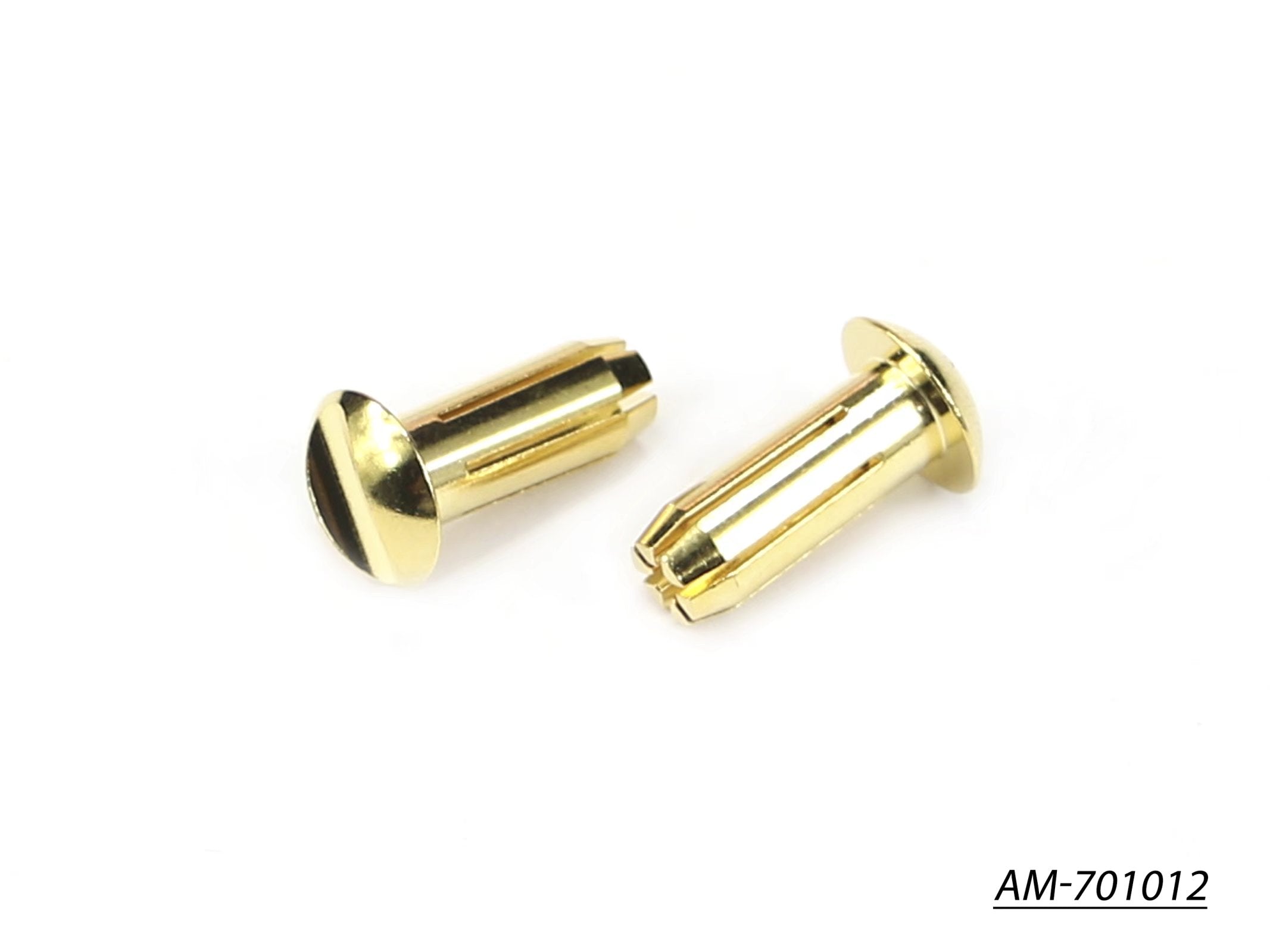 Arrowmax Electronics AM-701012 connecteur 5mm plat doré 24K x2
