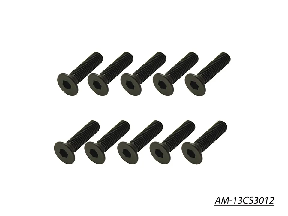 Arrowmax Screws AM-13CS3012 vis fraisée M3x12 10 pcs