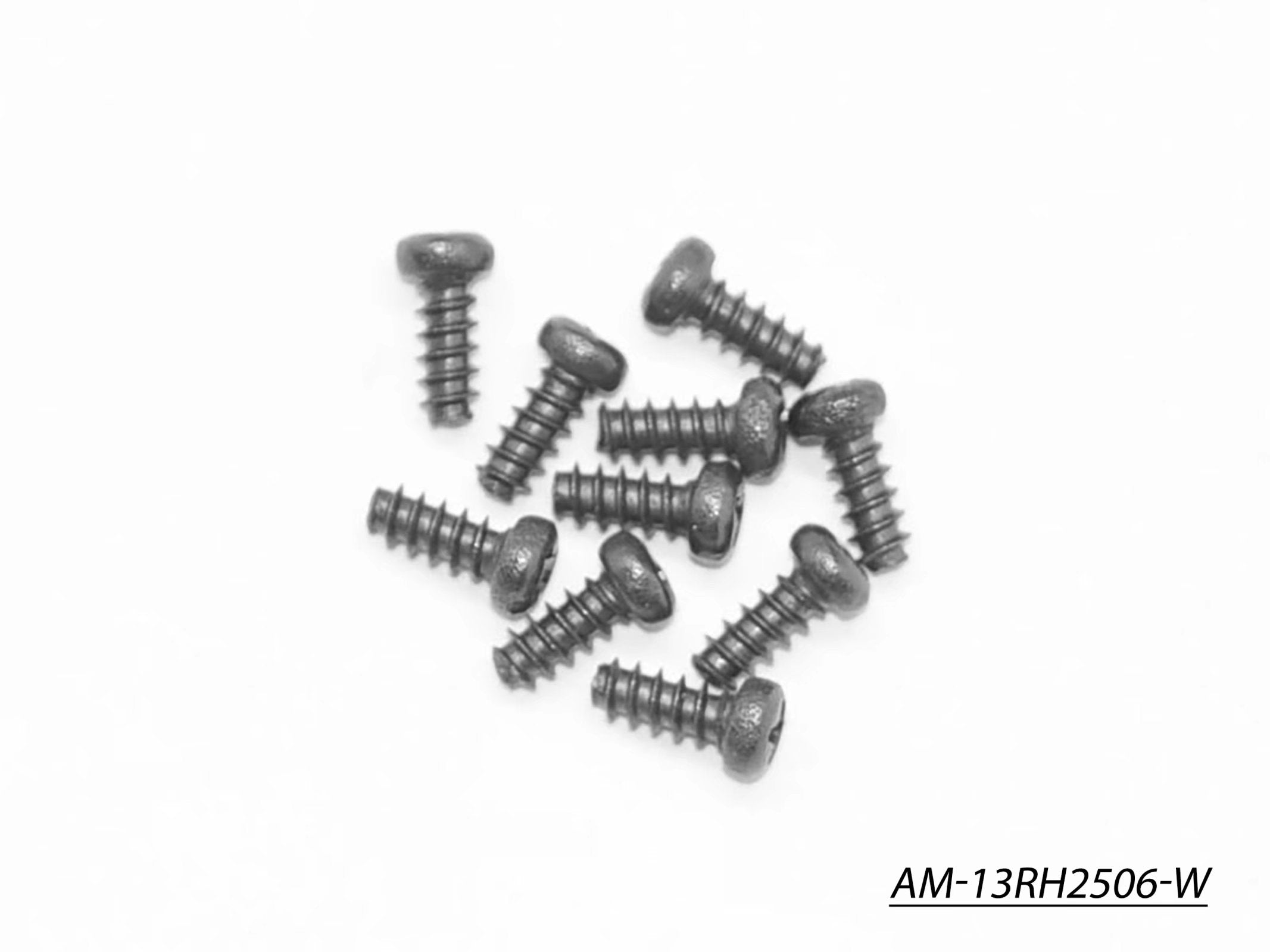 Arrowmax AM-13RH2506-W vis M2.5x6 10 pièces