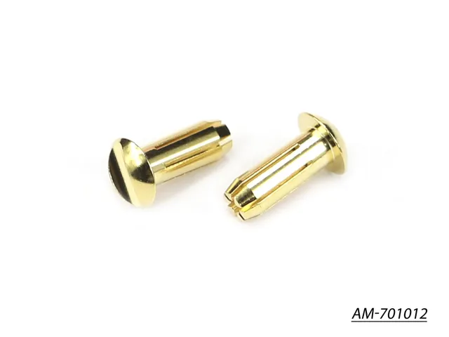 Arrowmax Electronics AM-701012 connecteur 5mm plat doré 24K x2